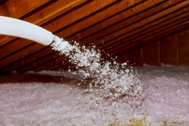 Best Wall Insulation Contractor  in Scotts Hill, TN