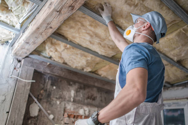 Best Cellulose Insulation  in Scotts Hill, TN