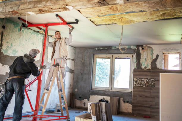 Best Insulation Contractor Near Me  in Scotts Hill, TN