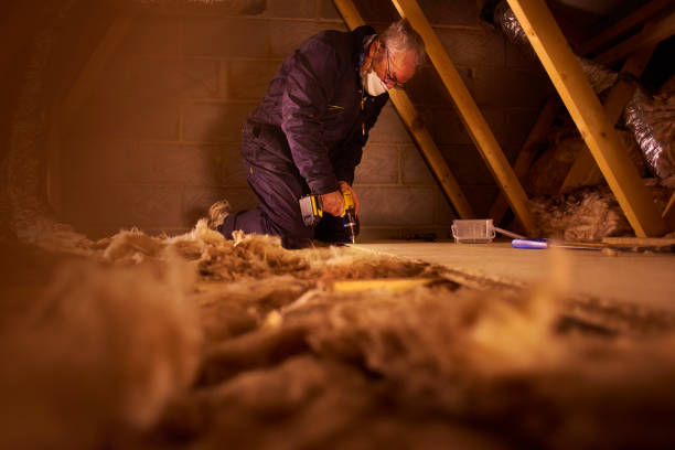 Best Insulation for New Construction  in Scotts Hill, TN